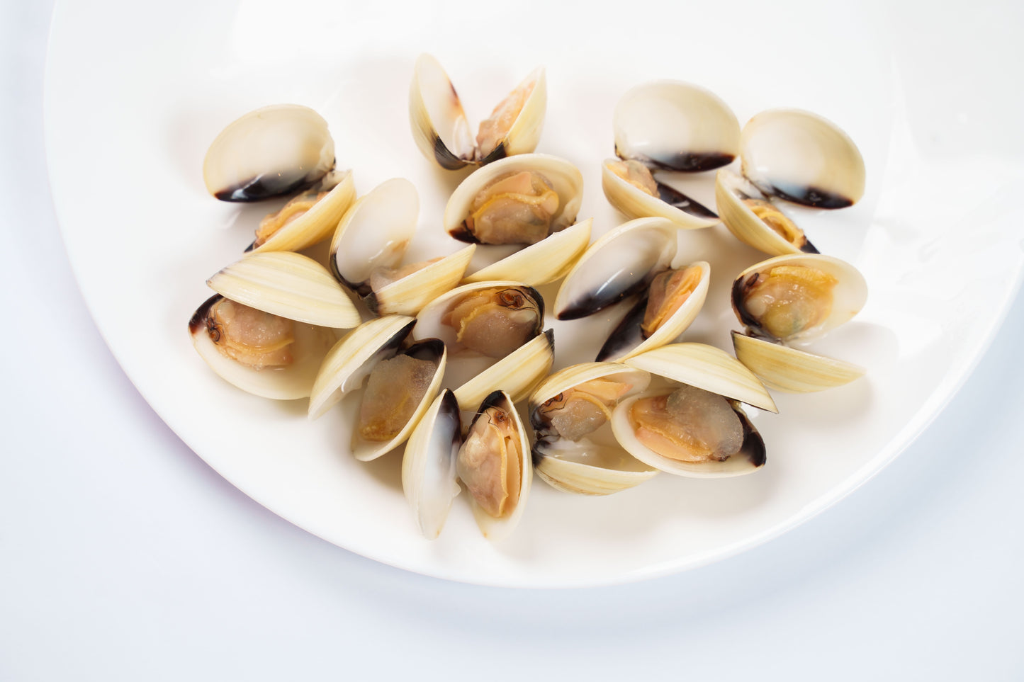 Frozen Steam White Clam